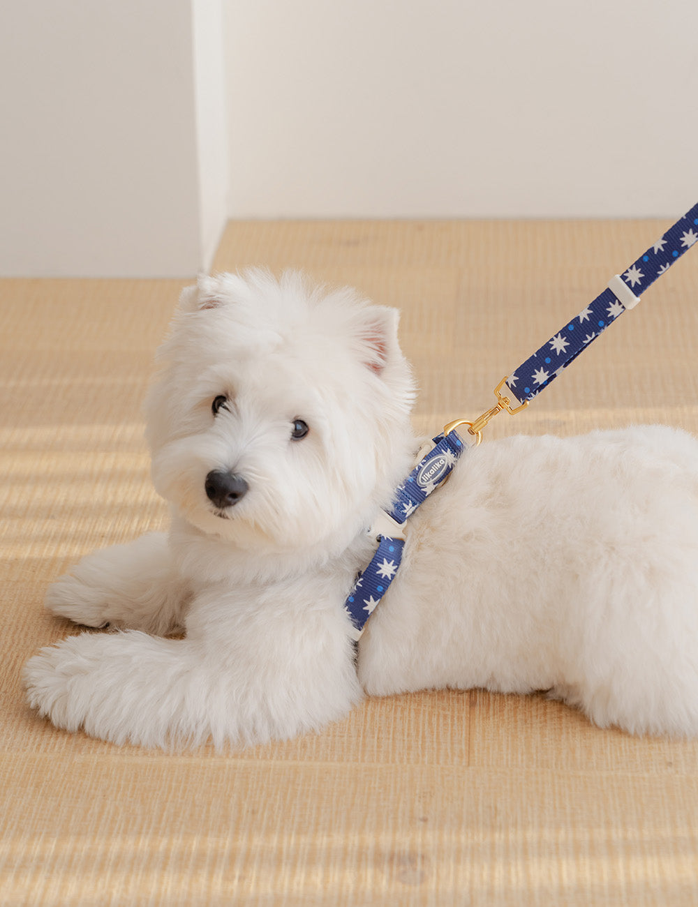 Star Pop Dot Harness L-Type 2 Colors
