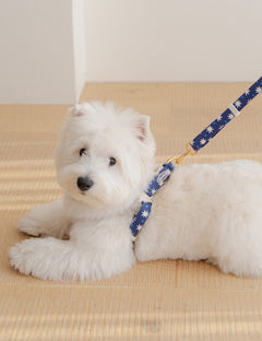 Star Pop Dot Harness L-Type 2 Colors