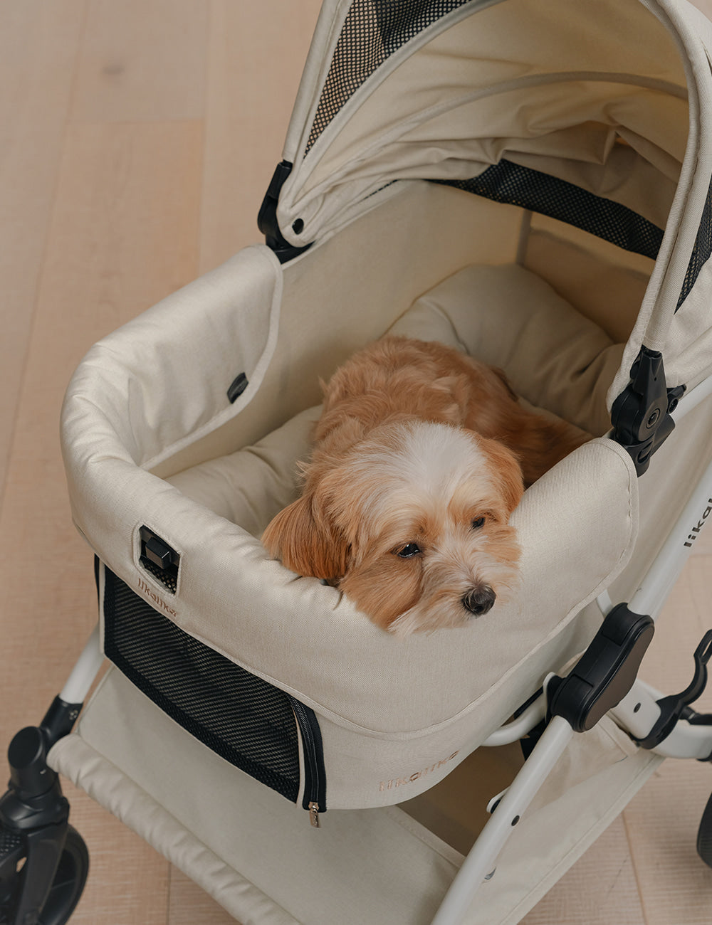 All Day Plus All-in-One Stroller Add-On Option