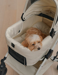 All Day Plus All-in-One Stroller Add-On Option