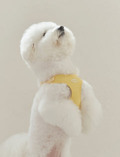 Cotton Candy Harness X-Type 4 Colors