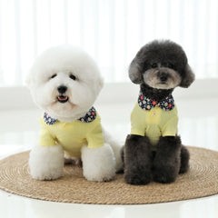 꽃카라 크롭티 [Yellow]