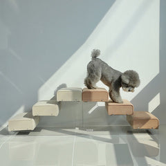 고스트 펫 Step 3단 - 4 Colors