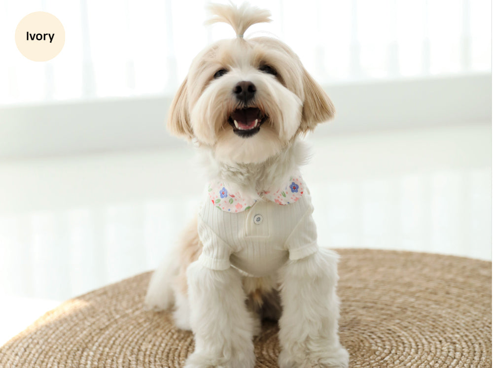 Floral Collar Crop Tee – Ivory
