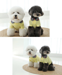 Floral Collar Crop Tee – Yellow