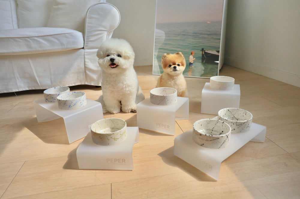 Hand-Painted Ceramic Dish – 6 Colors