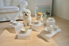 Hand-Painted Ceramic Dish – 6 Colors