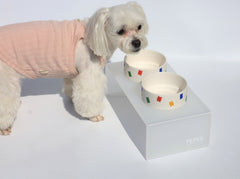 Jelly Bear ceramic dish product photo 4