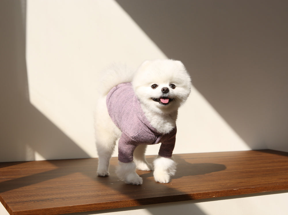 Knit Button Hood – Lavender