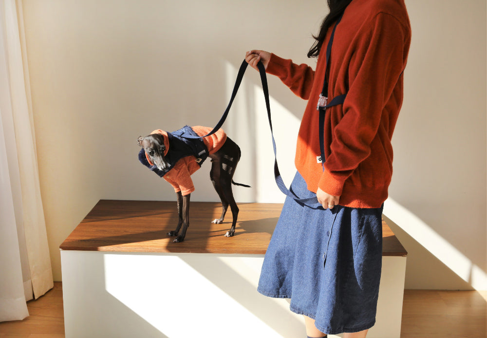 New Multi Leash 2.5 m – 3 Colors