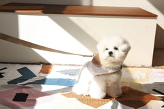 New Multi Leash 2.5 m – 3 Colors