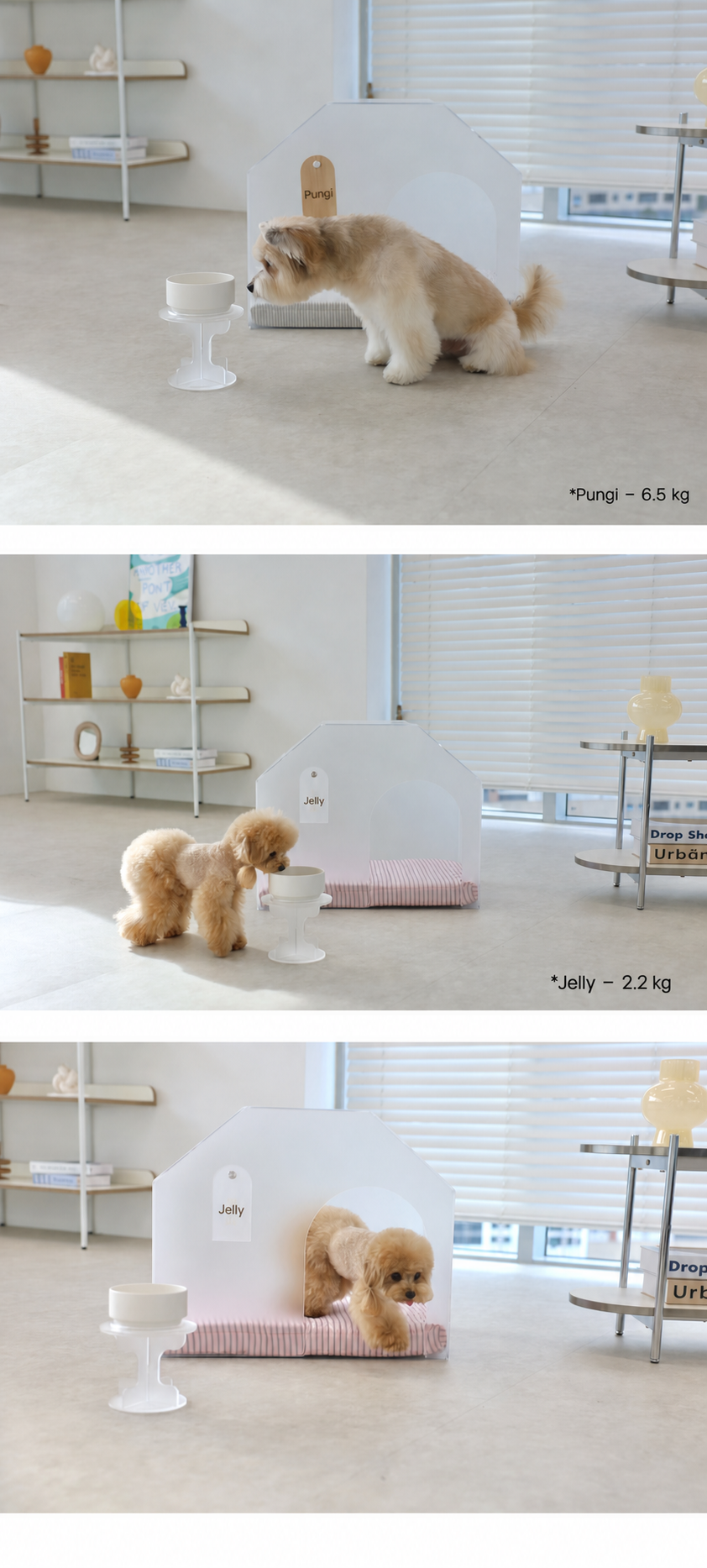 Peper Lab product detail image in English