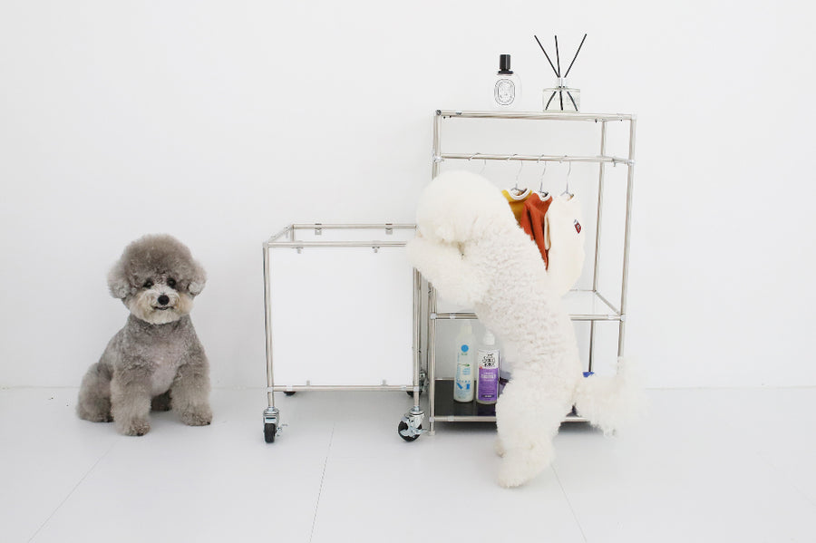 Modular Pet Box – 4 Colors