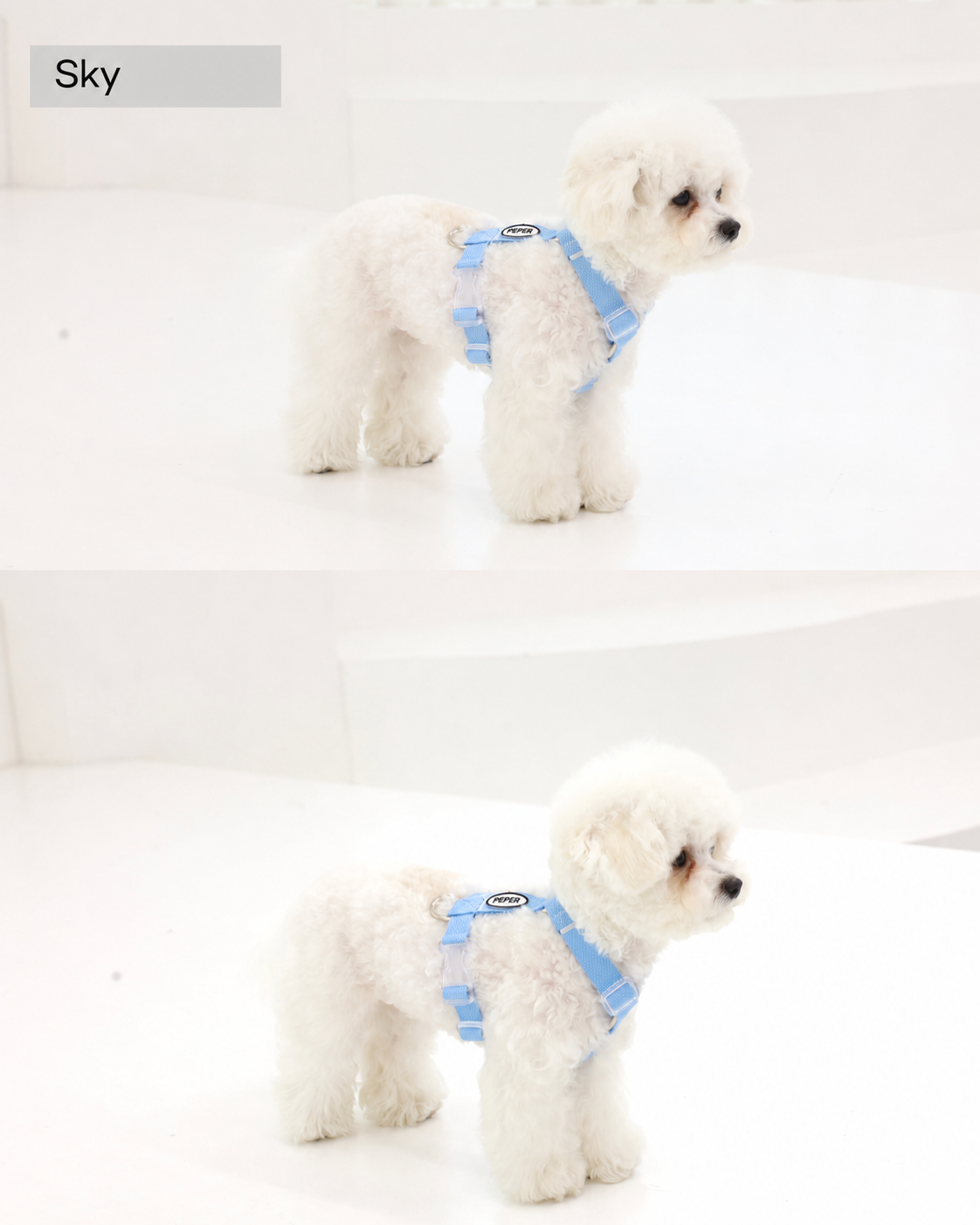 Dog wearing the Sky Color On H Harness