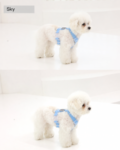 Dog wearing the Sky Color On H Harness
