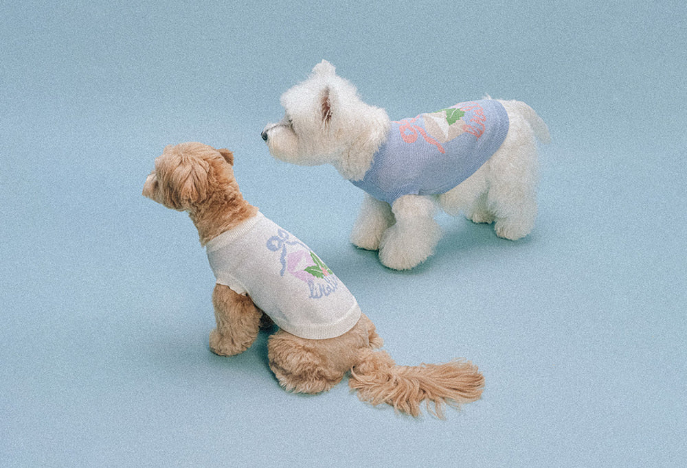 Two dogs wearing soft knit shirts