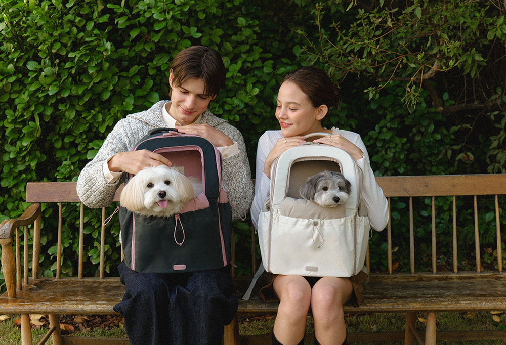 Two people sitting with pet backpacks