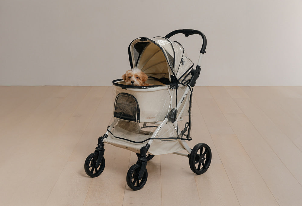 Small dog riding in a cream pet stroller