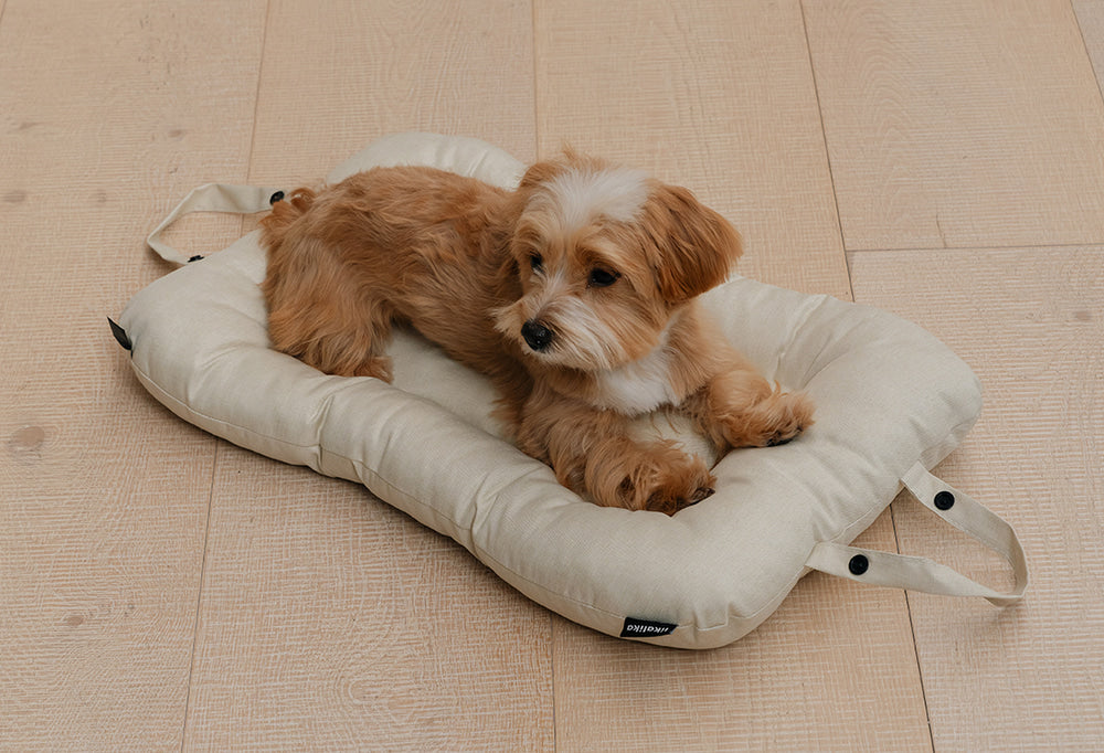 Small dog resting on a cream pet bed